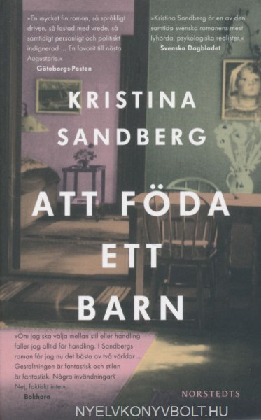 Kristina Sandberg: Att Föda Ett Barn