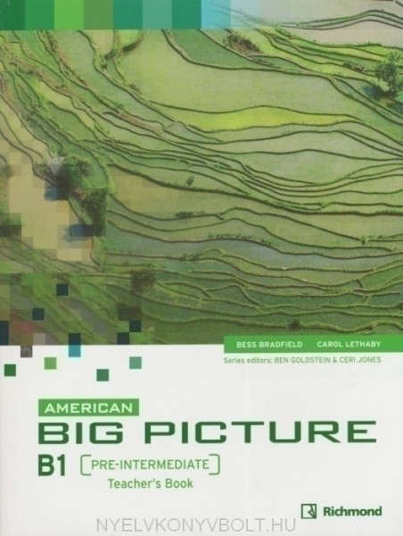 American Big Picture Pre-Intermediate Teacher's Book with Class Audio Cds