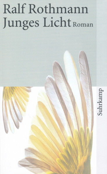 Ralf Rothmann: Junges Licht