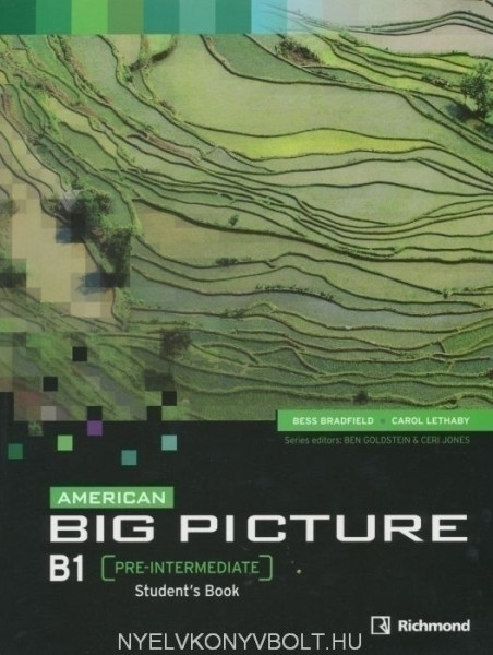 American Big Picture Pre-Intermediate Student's Book