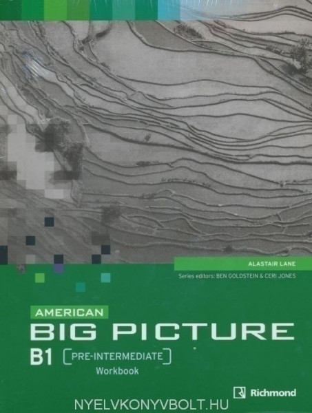 American Big Picture Pre-Intermediate Workbook + Audio CD
