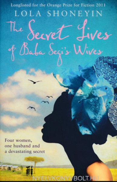 Lola Shoneyin : The Secret Lives of Baba Segi's Wives