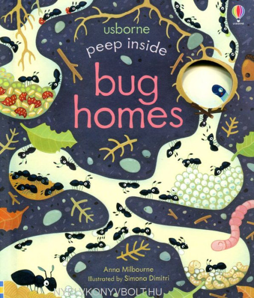 Peep Inside Bug Homes