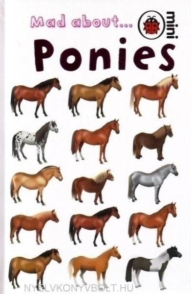 Ladybird Mad about Ponies