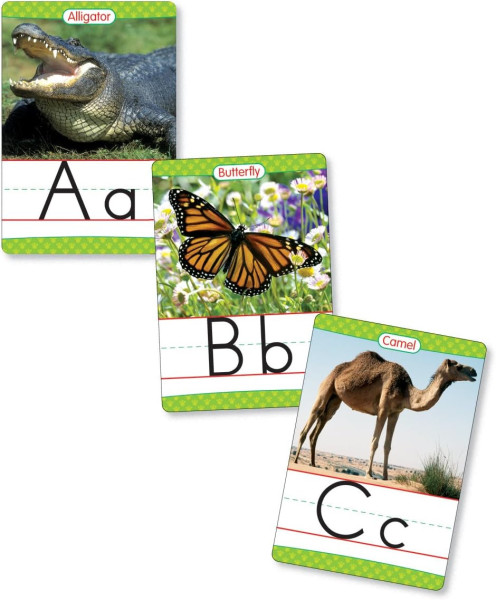 Animals From A to Z Alphabet Set Manuscript - Bulletin Board