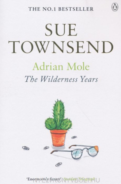 Sue Townsend: Adrien Mole - The Wilderness Years (Book 4)