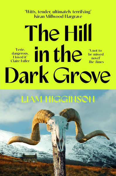 Liam Higginson: The Hill in the Dark Grove