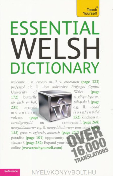 Teach Yourself - Essential Welsh Dictionary