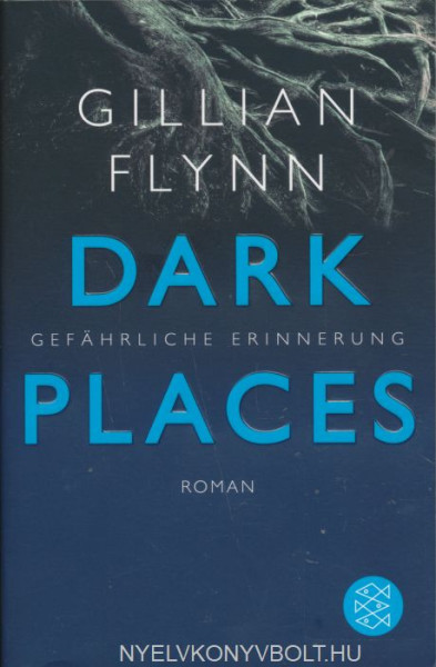 Gillian Flynn: Dark Places - Gefährliche Erinnerung