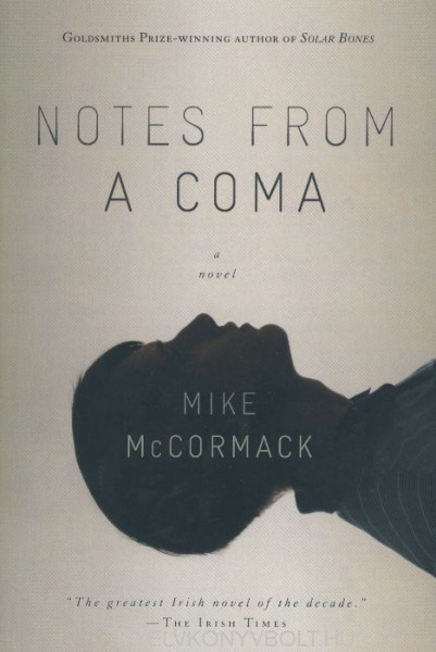 Mike McCormack: Notes from a Coma